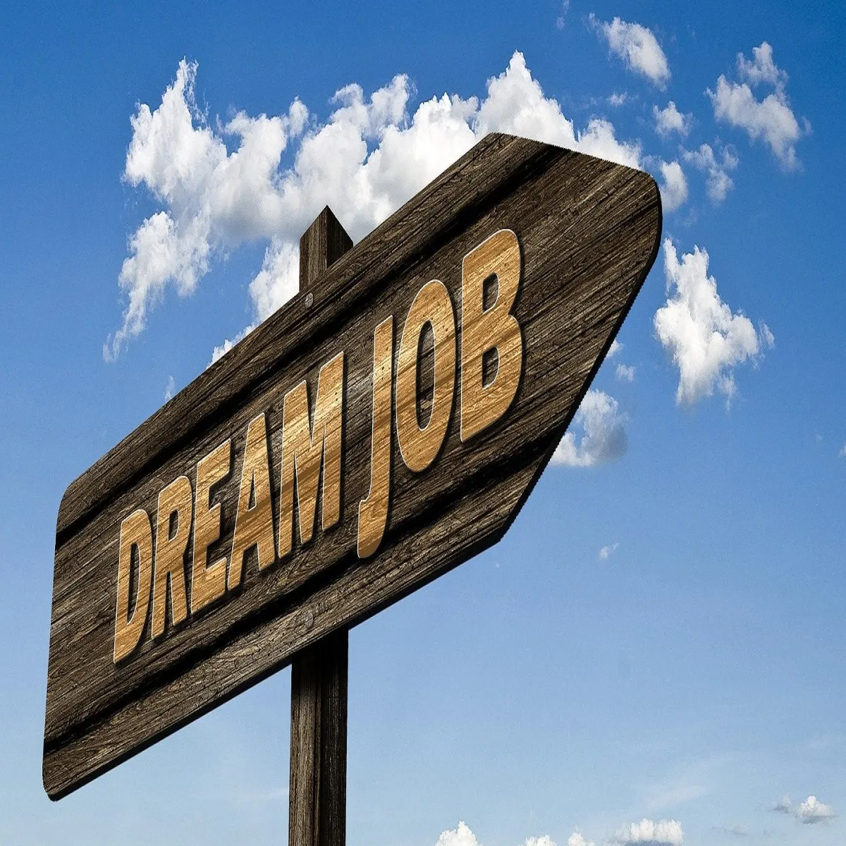 Anganwadijobs anganwadijobs hathrs blrampur men mhila