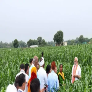 Agribusiness low cost high income farming