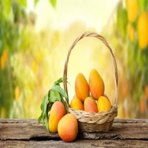 Kakdi mango bharatpur special variety